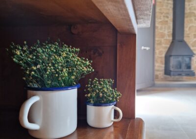 Salón en casa rural Cal Roseto de Palou